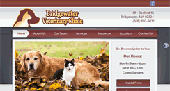 Desktop Screenshot of bridgewatervetclinic.com